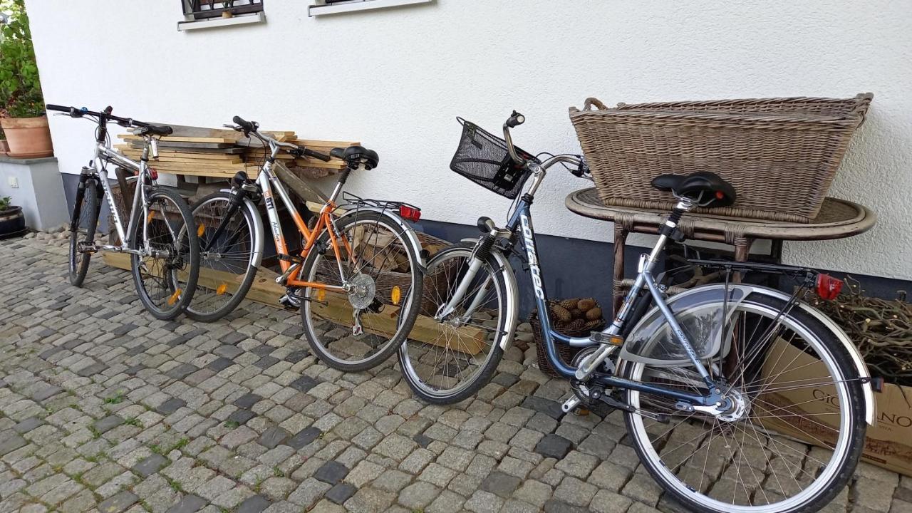 Haus Merlin Am Bockelsberg Homestay