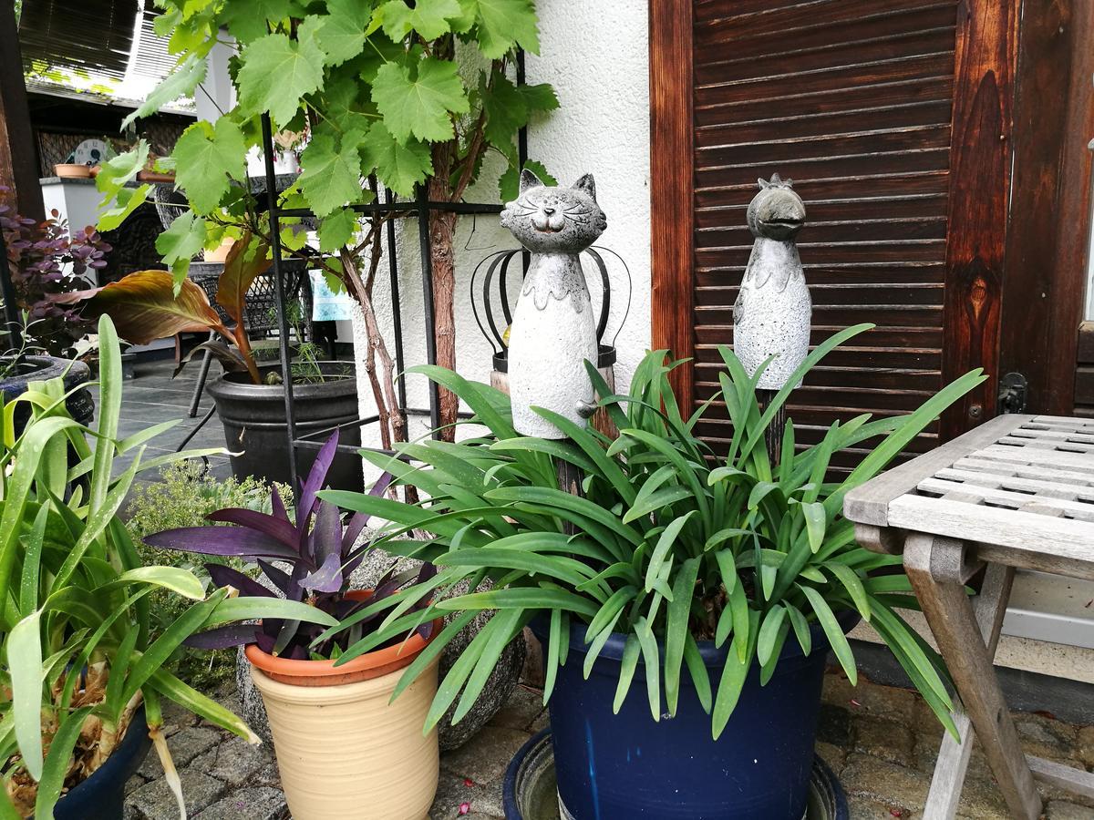 Haus Merlin Am Bockelsberg Homestay Weimar (Thuringia)