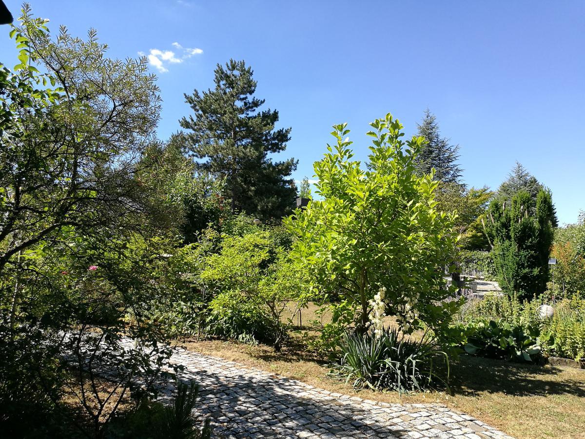 Homestay Haus Merlin Am Bockelsberg