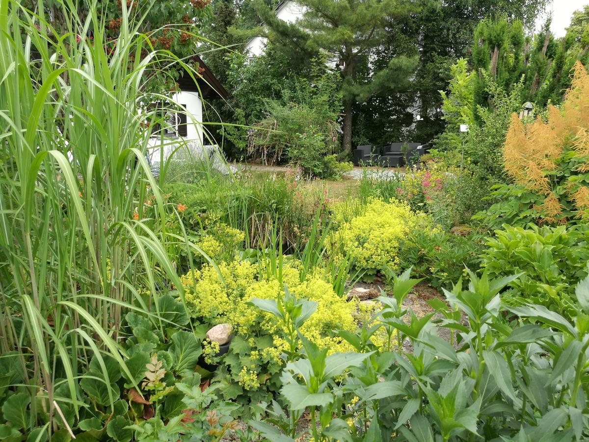 Haus Merlin Am Bockelsberg Homestay *