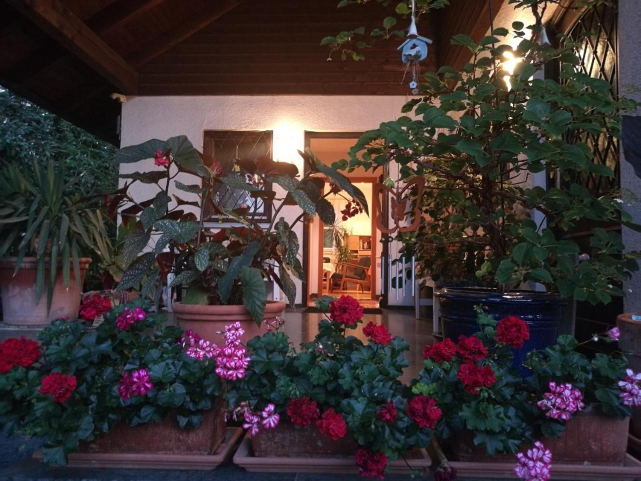 Haus Merlin Am Bockelsberg Homestay