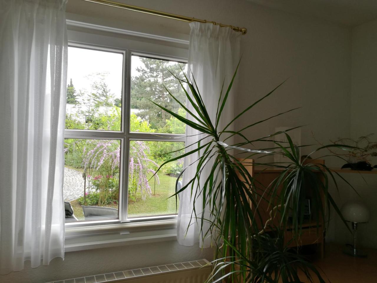 Haus Merlin Am Bockelsberg Homestay Weimar (Thuringia)